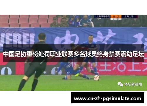 中国足协重磅处罚职业联赛多名球员终身禁赛震动足坛 中国足协重磅处罚职业联赛多名球员终身禁赛震动足坛
